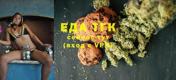 амф Щёлкино